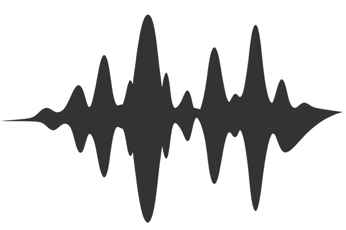 Black and white image of an audio waveform.